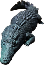 The Cuyahoga Croc
