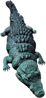 The Cuyahoga Croc