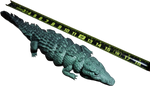 The Cuyahoga Croc